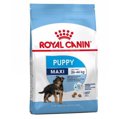 Hrana uscata Royal Canin SHN Maxi Puppy 4kg